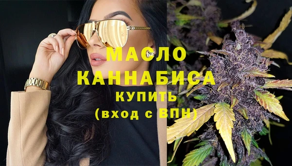 молекула духа Козельск