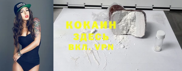 молекула духа Козельск