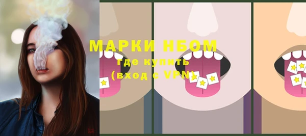 молекула духа Козельск