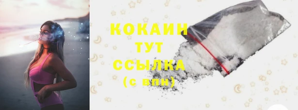 молекула духа Козельск