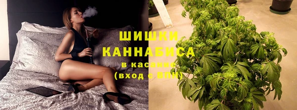 молекула духа Козельск
