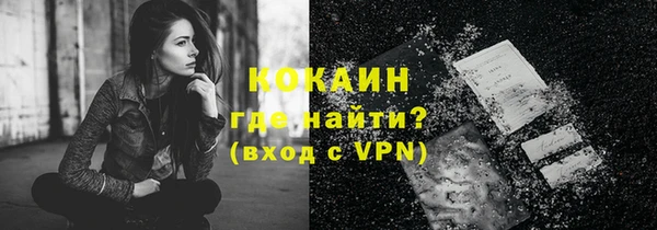 молекула духа Козельск