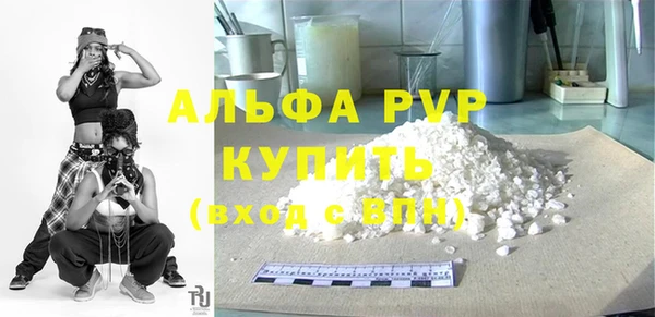 молекула духа Козельск