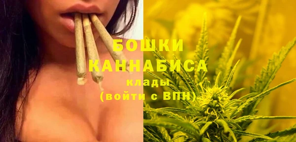 молекула духа Козельск