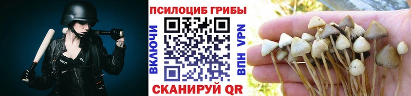Купить где  Рудня  Псилоцибиновые грибы ЛСД 